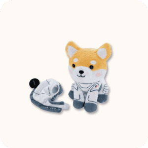 Asteroid Plush