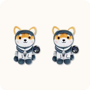 Asteroid Plush 2PCS