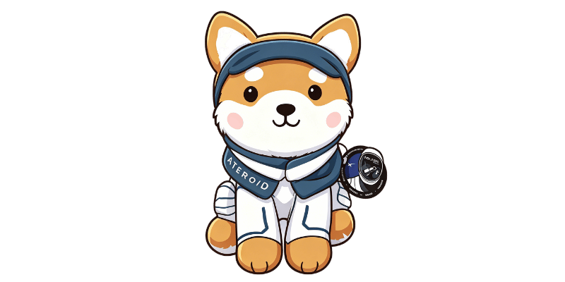 Asteroid Plush