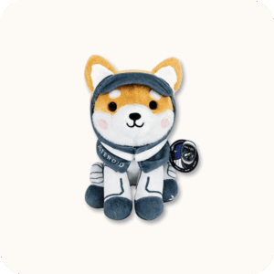 Asteroid Plush